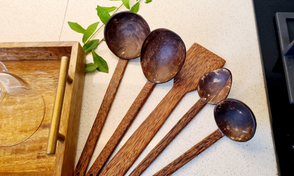 Coconut Shell Bowl (Set of 6)