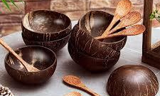 Coconut Shell Bowl with Spoon (Set of 6)